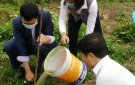 xã Thạch Bình tổ chức tết trồng cây đầu xuân
